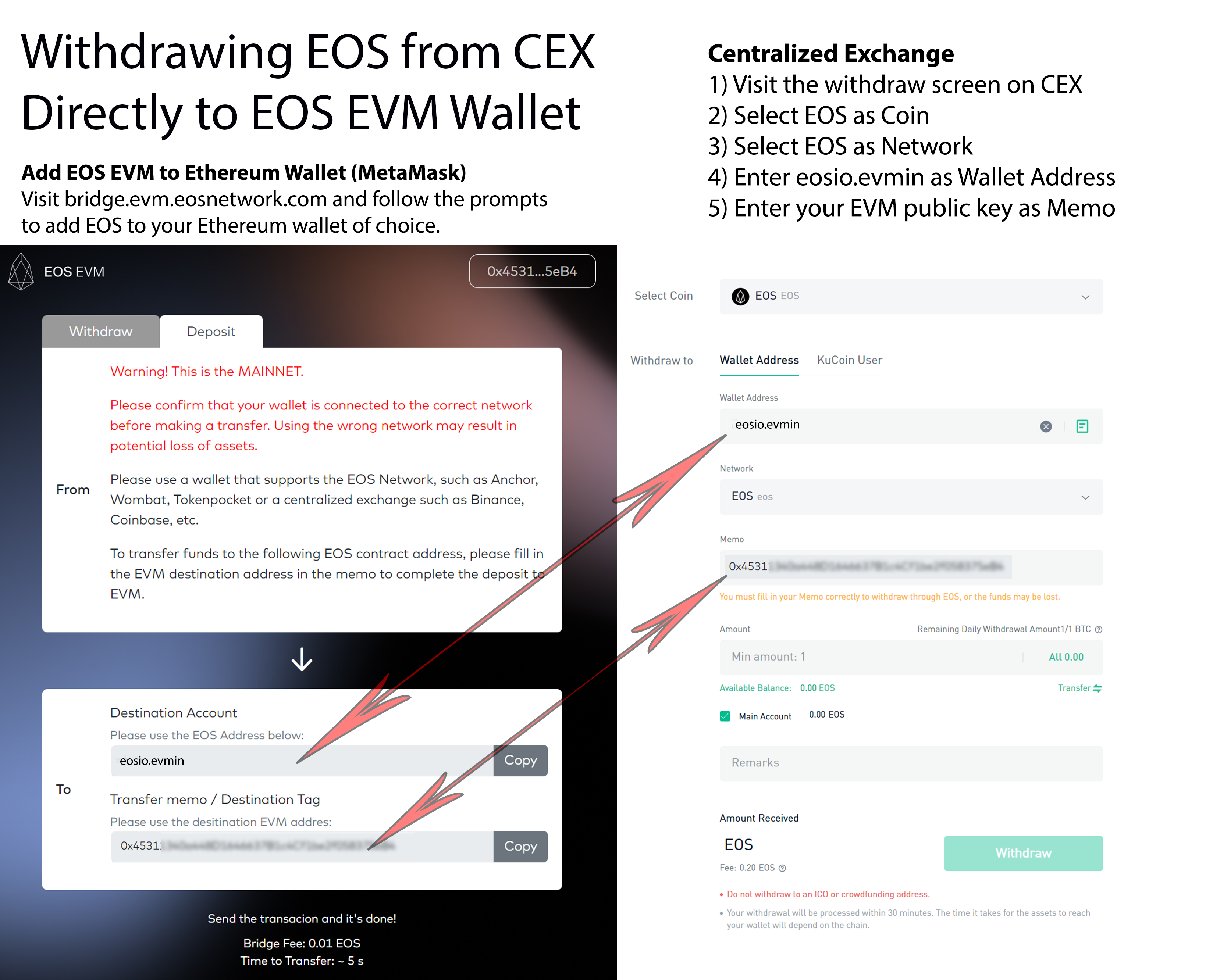 EOS EVM Token Flow